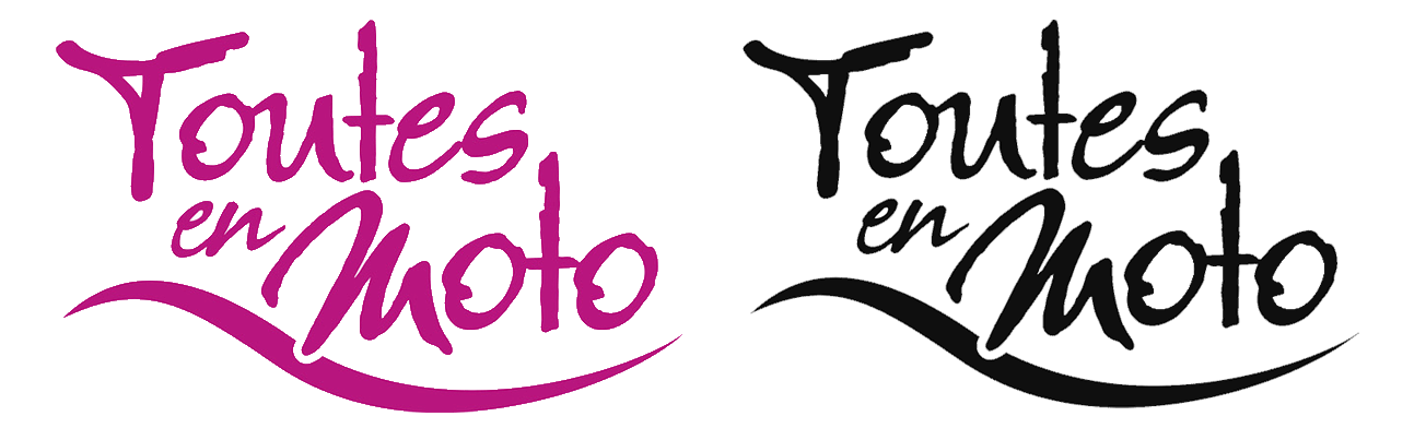 Logo TEM 2024
